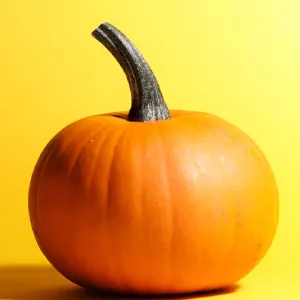 Ajax Council Pumpkin Giveaway