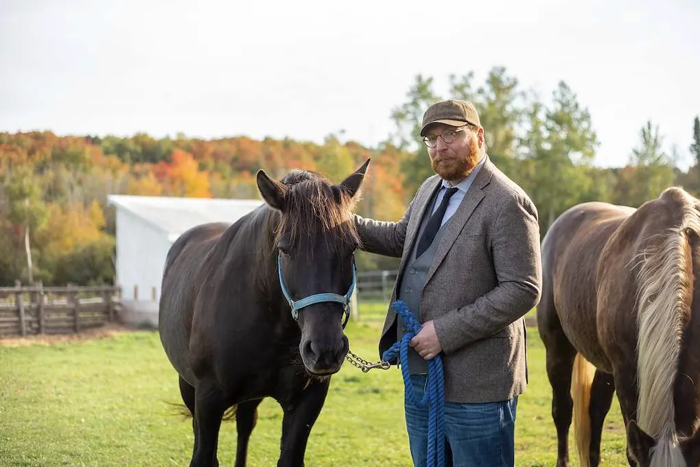 Man standing with two horses in a meadow