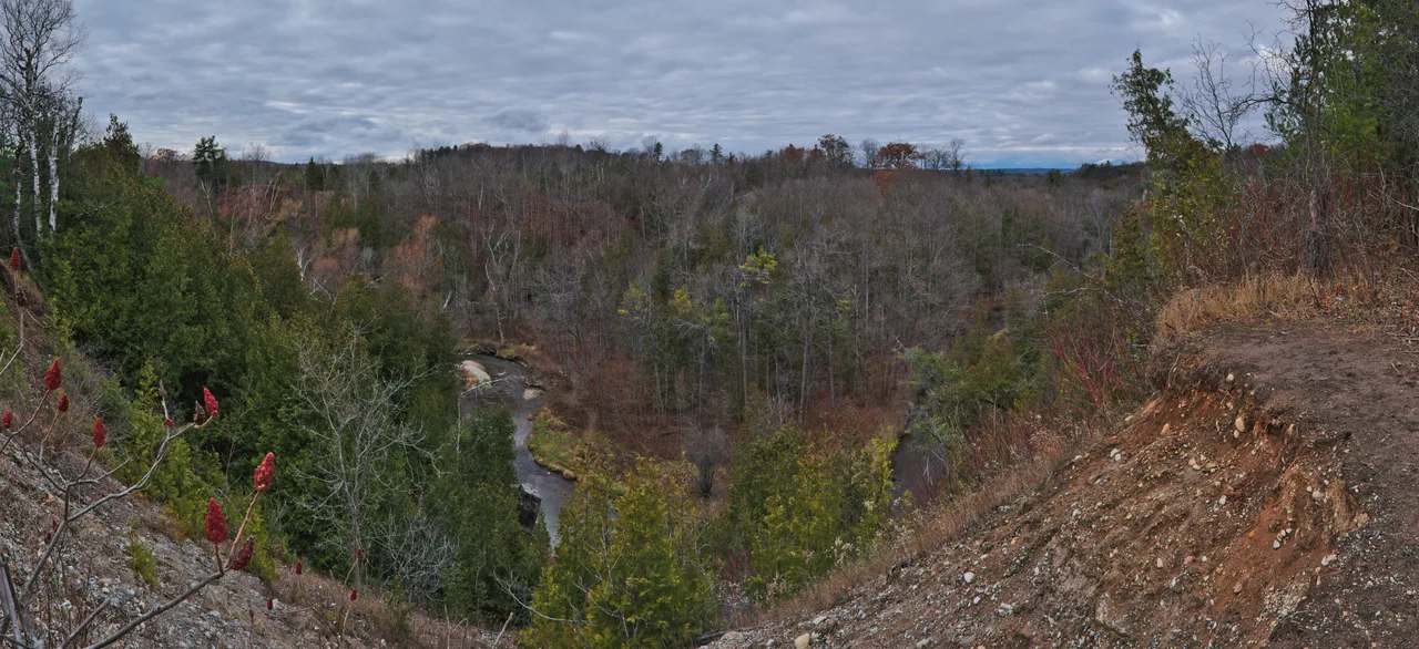 Ground-level view from a lookout at Greenwood Conservation Area